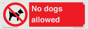 No dogs allowed